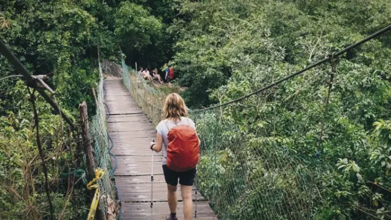 04. Suspension Bridges – Scenic crossings_(2)