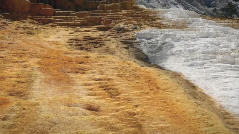 04_Mammoth_Hot_Springs(5)