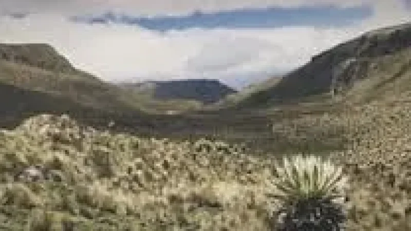 05 5 Paramo Landscapes ‒ Unique highland ecosystem(5)