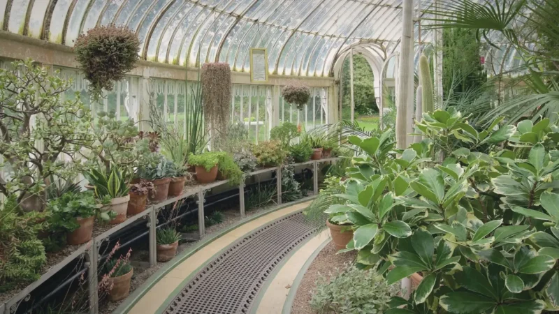 05) Botanic Gardens(1)