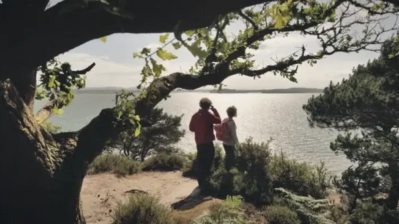05) Brownsea Island(4)