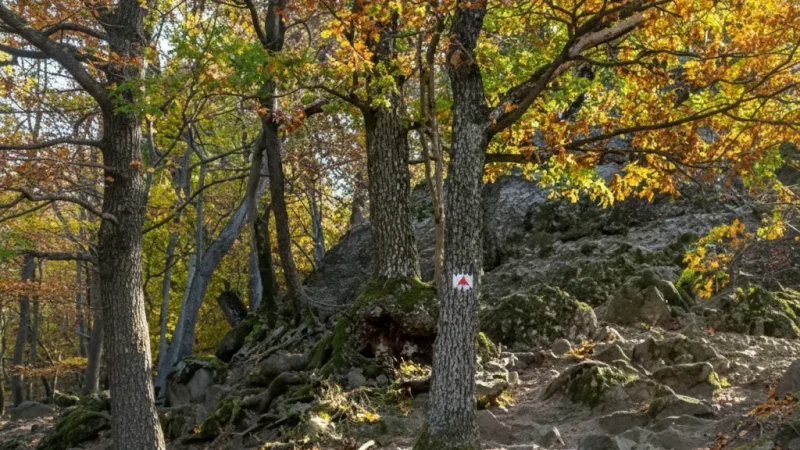 05) Castle Hill Trails(3)