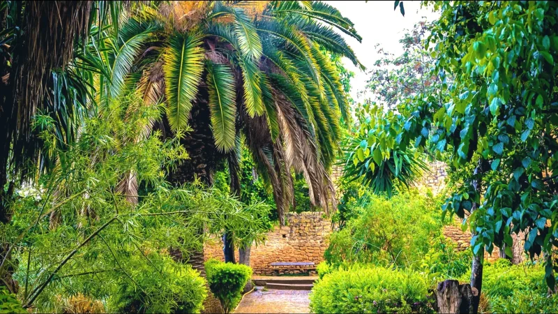 05) Chellah Necropolis(5)