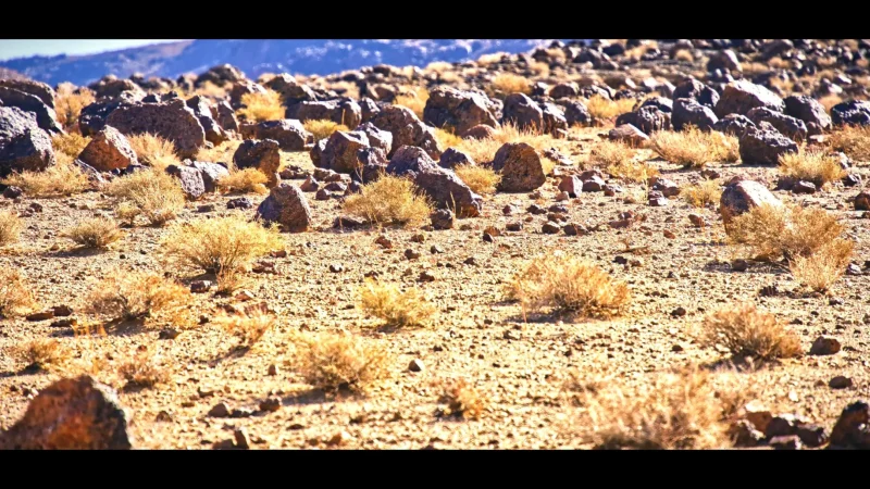 05) Desert Plateau Viewpoints(3)