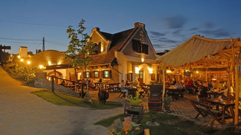 05) Egregy Wine Hill(5)