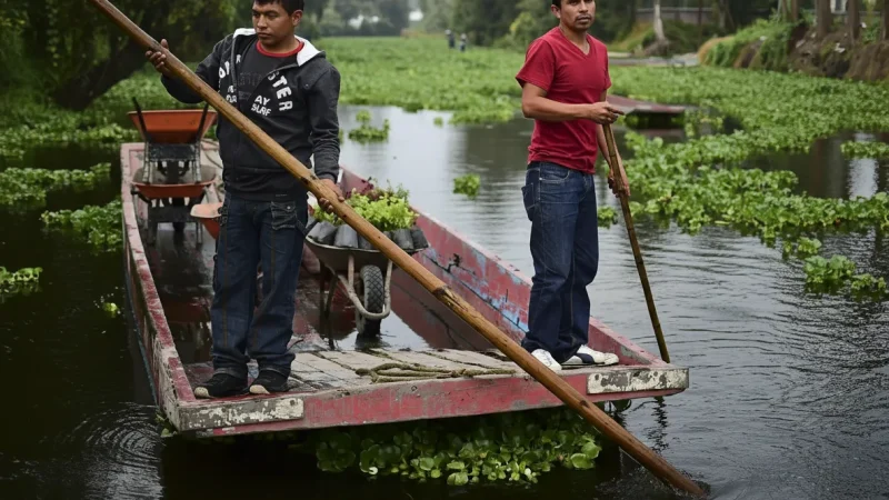 05) Floating Gardens (Chinampas)(1)
