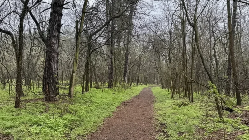 05) Gödöllő Arboretum(5)