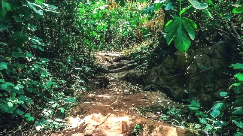 05) Hiking Trails(4)