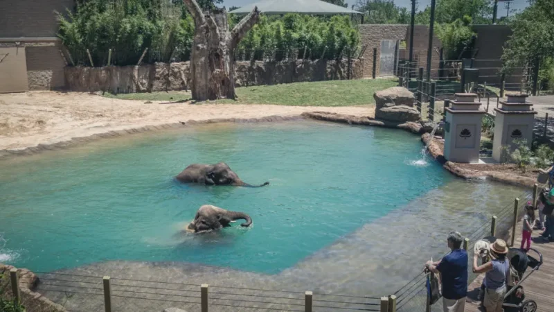 05) Houston Zoo(2)