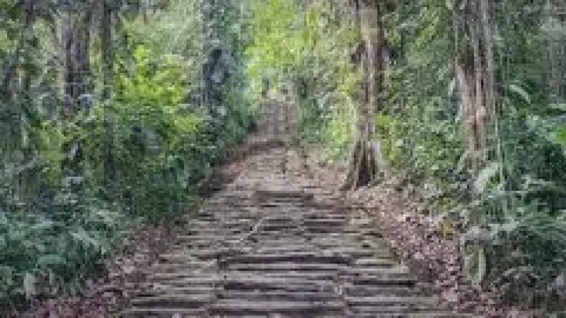05 Jungle Trails – Short nature walks(4)