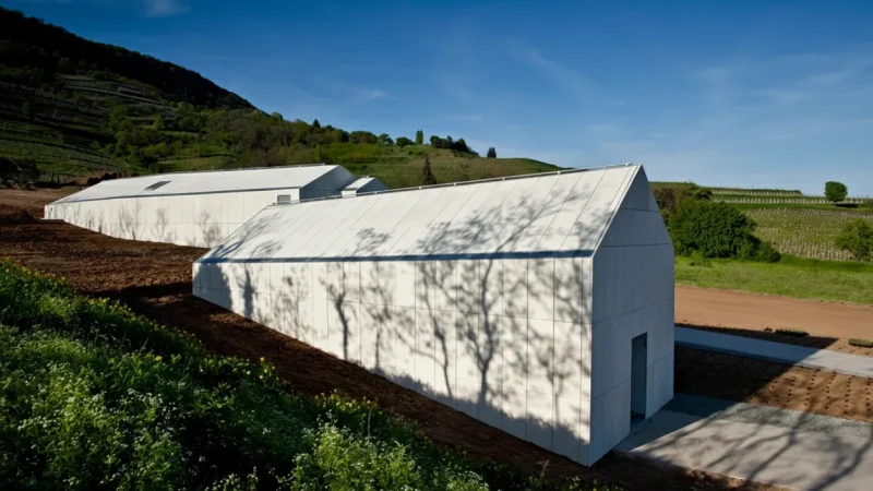 05) Laposa Winery(6)