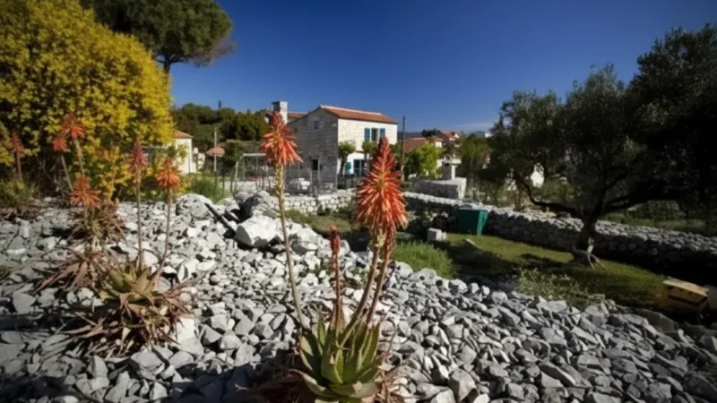 05) Lošinj Aromatic Garden(2)