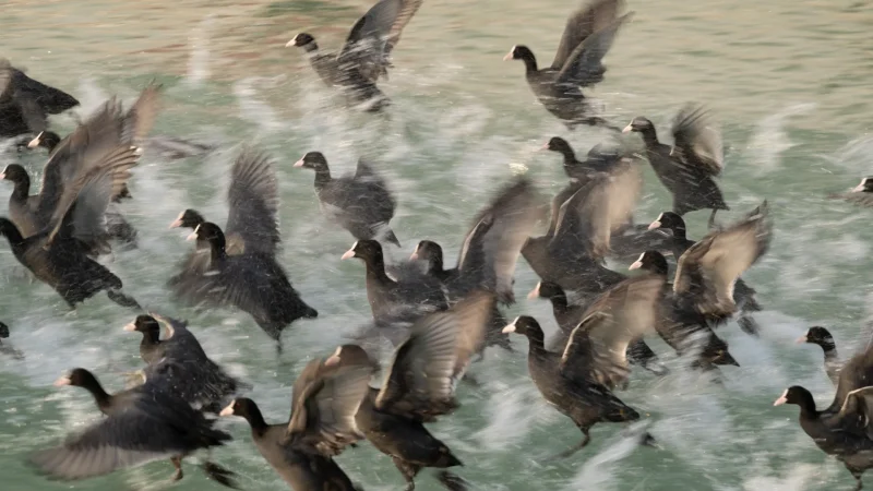 05) Outer Lake(3)