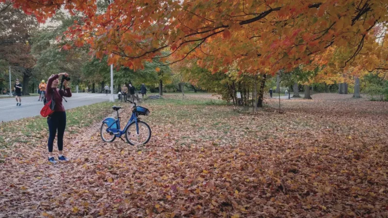 05) Prospect Park(3)