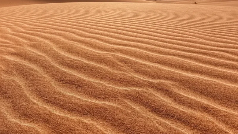 05) Red Sand Dunes(4)
