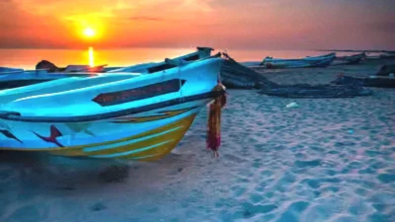 05) Safi Fishing Port(1)