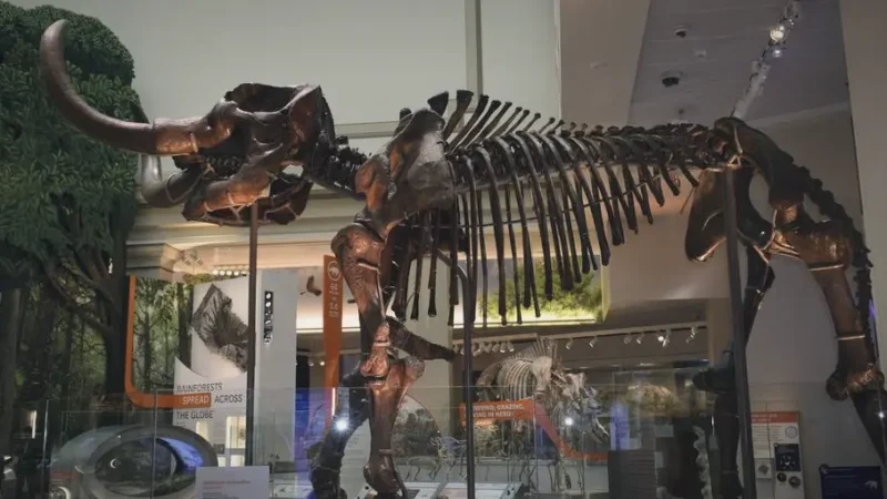 05) Smithsonian National Museum of Natural History(2)