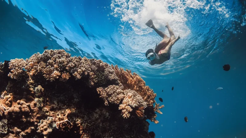 05) Snorkeling Areas(1)