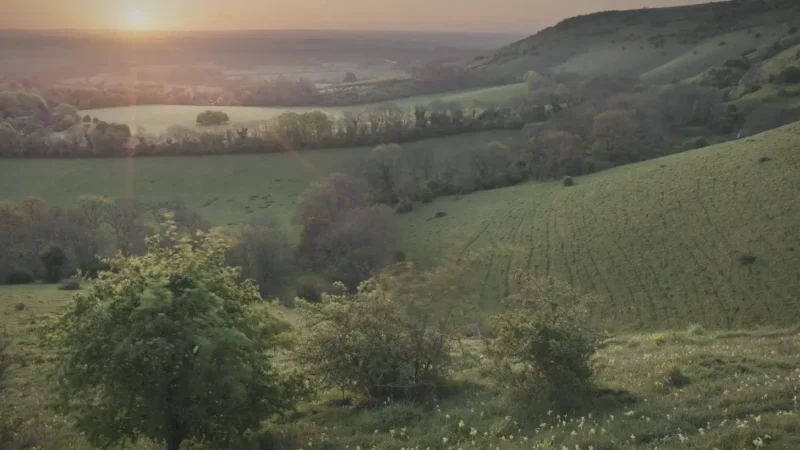 05) South Downs National Park(5)