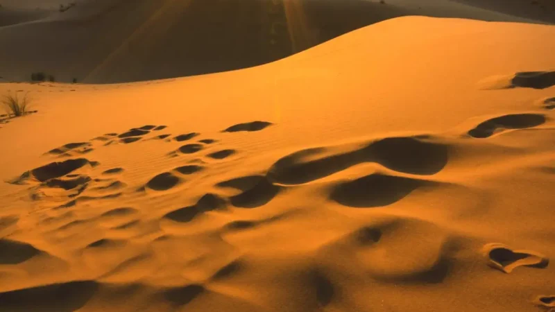 05) Sunrise Dune Viewpoints(5)