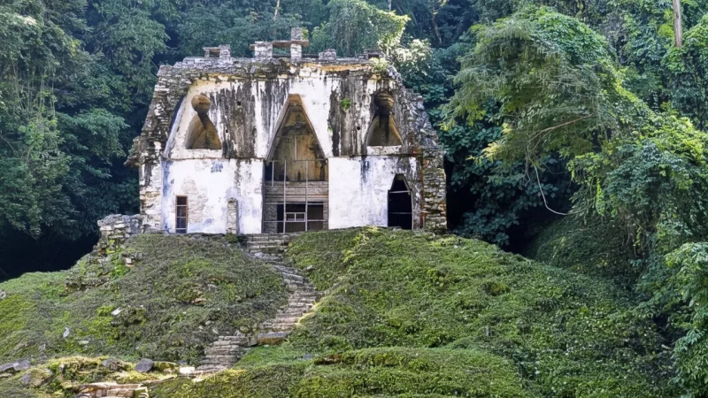 05) Temple of the Foliated Cross(5)