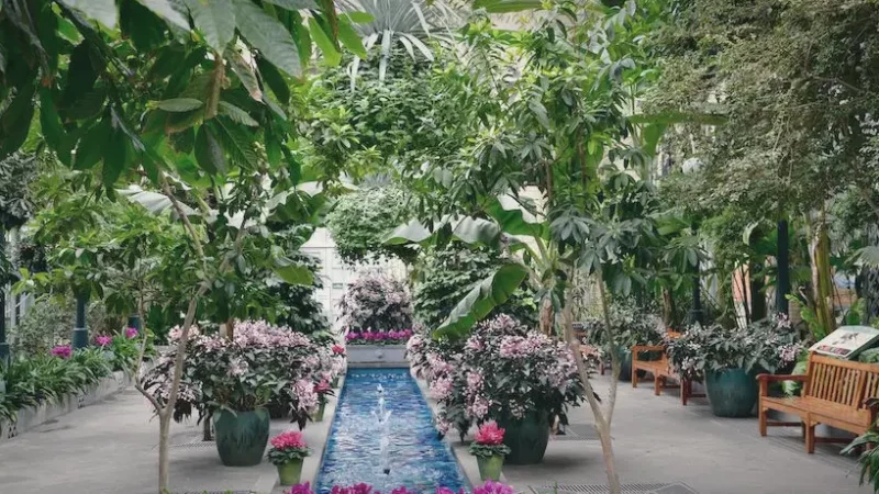 05) U.S. Botanic Garden(2)