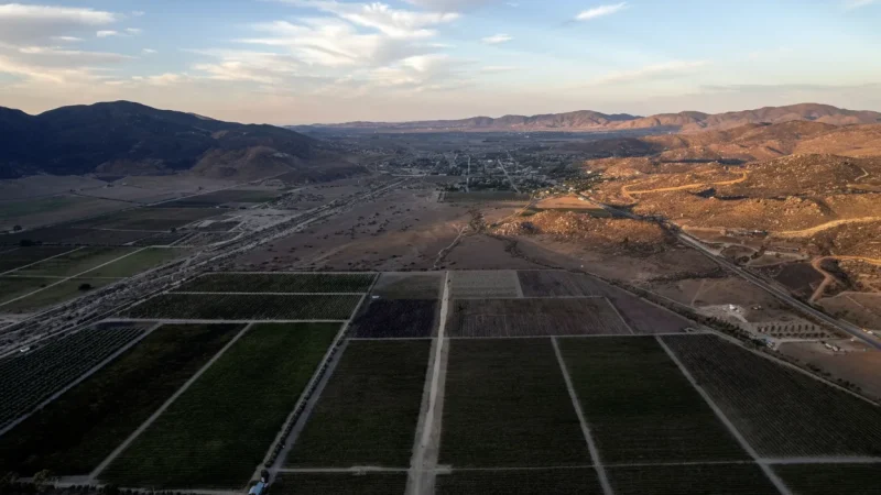 05) Valle de Guadalupe(5)