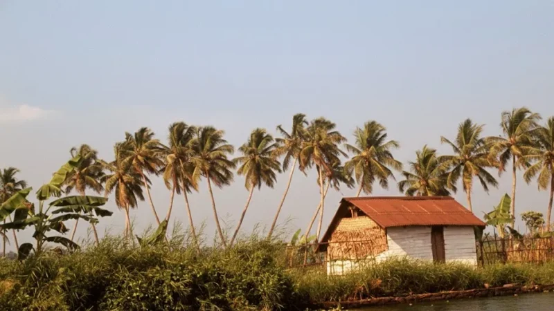 05. Kuttanad(4)