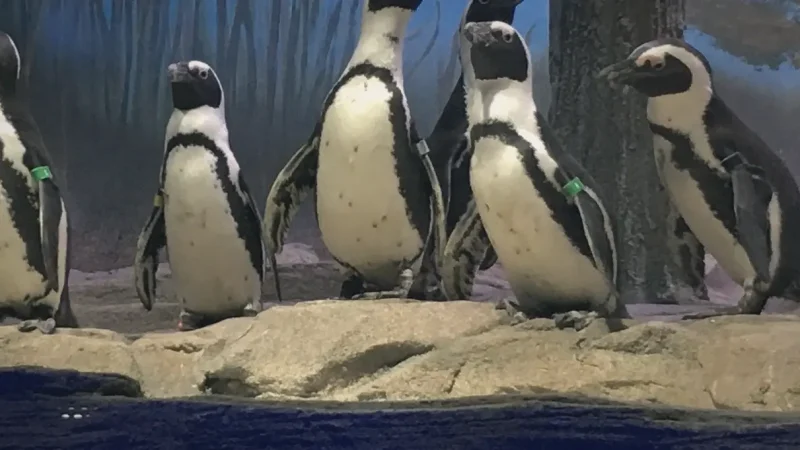 05. Miami Seaquarium(4)