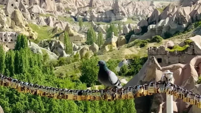 05. Pigeon Valley – Natural valley with cave views_(1)