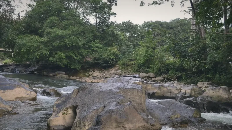 05. River Streams – Clear flowing water_(6)