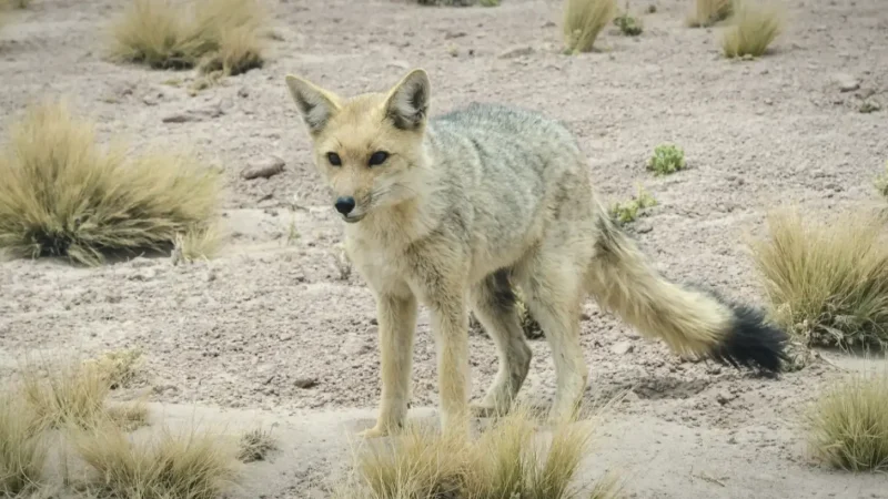 05_Wildlife_Viewing_Spots(3)