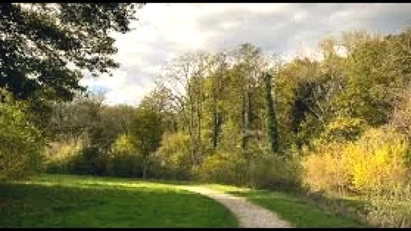 06 6. La Bécassine Nature Area(1)