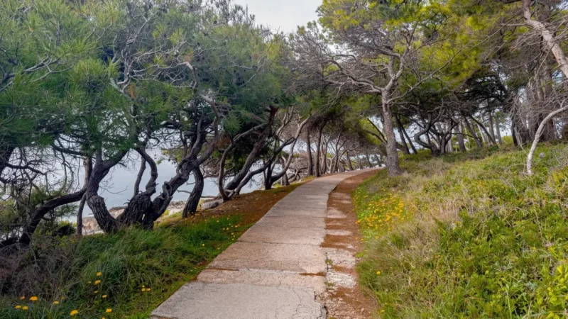 06) Coastal Promenade(1)