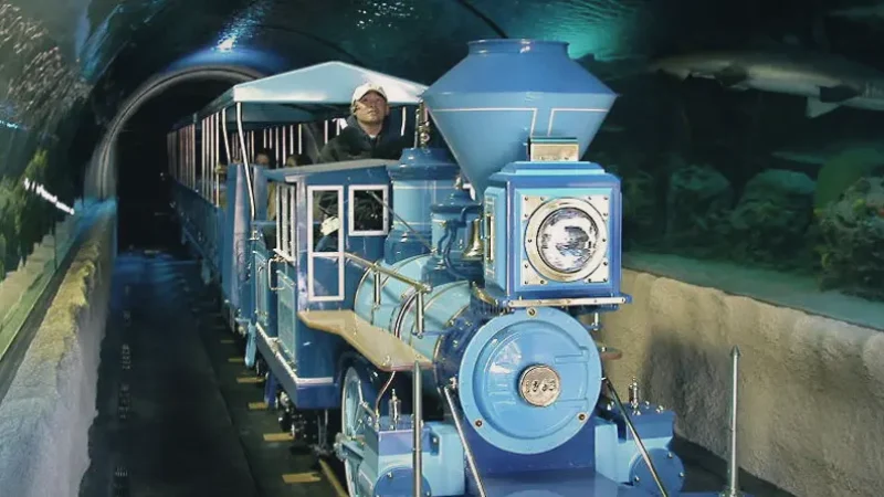 06) Downtown Aquarium(5)