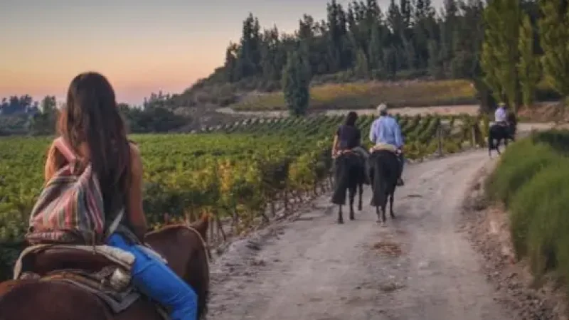 06) Horseback Riding Areas(4)