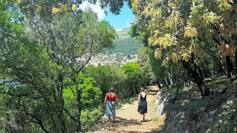 Island Walking Trails