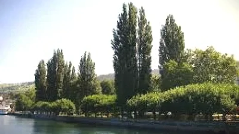 06 Lakeside Parks(5)
