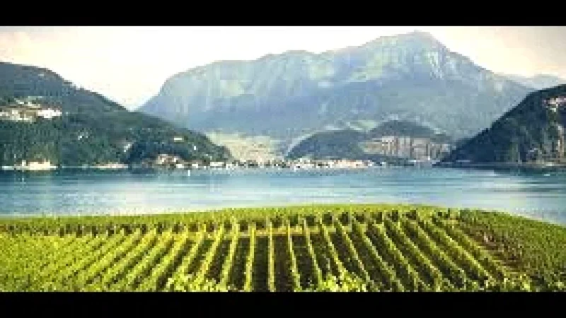 06 Local Vineyards(5)