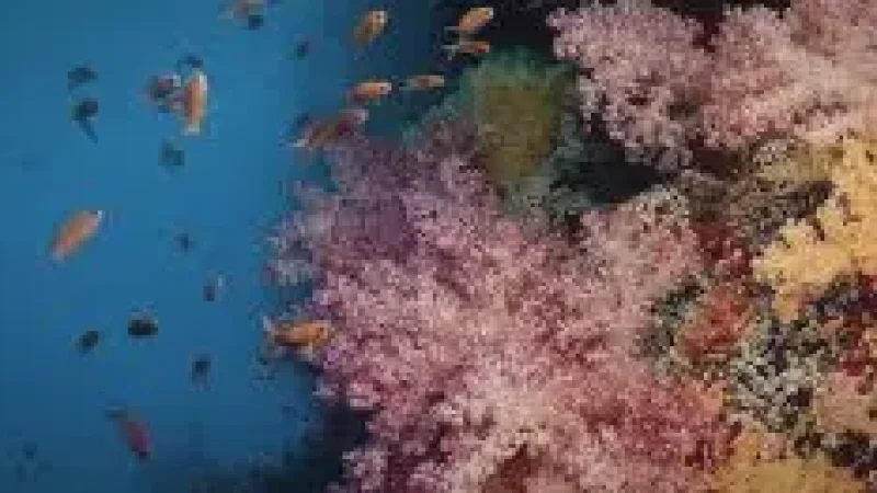 06 Marine Protected Zones(5)