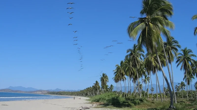 06) Playa Linda(1)