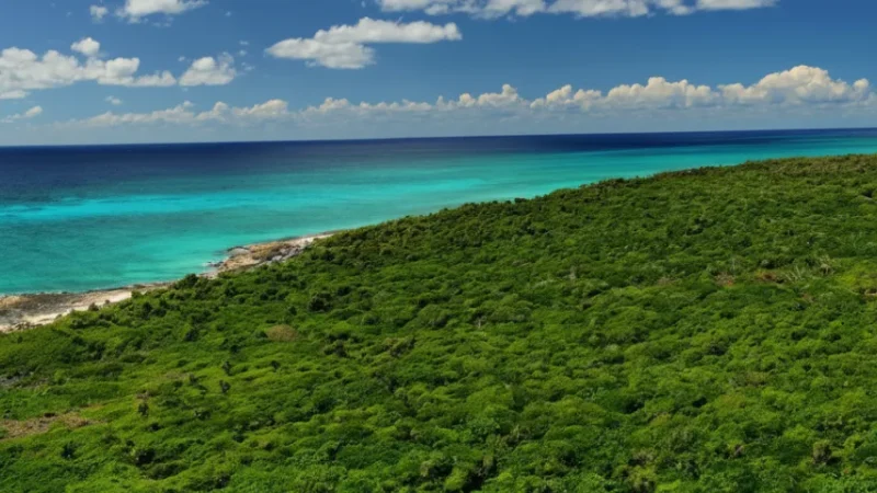 06) Punta Sur Eco Beach Park(3)