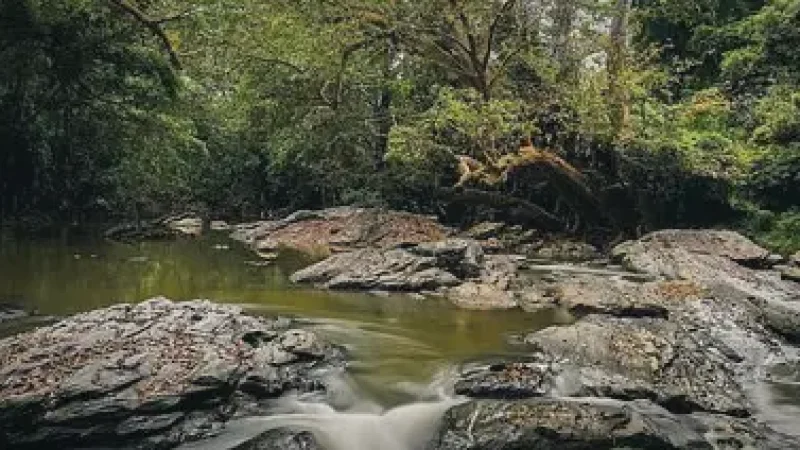 06) Riverbank Areas(4)