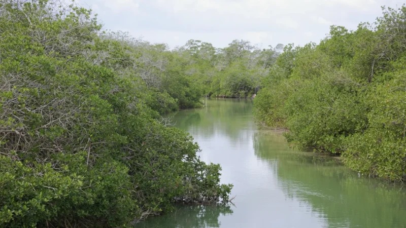 06) Sian Ka’an Biosphere Reserve(4)