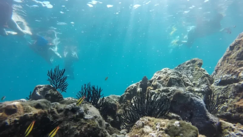 06) Snorkeling Areas(3)