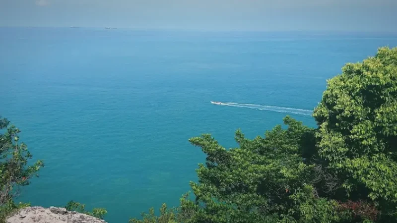 06) Tanjung Tuan Forest Reserve(2)