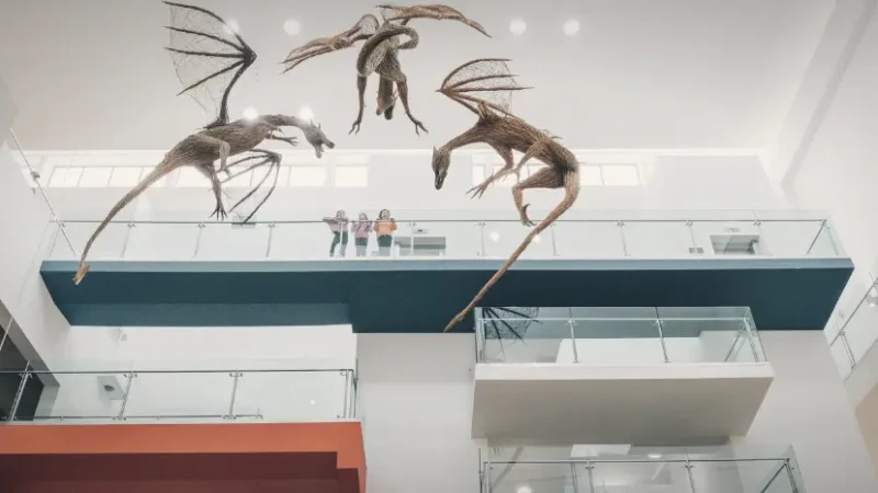 06) Ulster Museum(1)