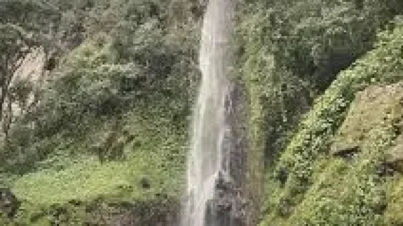 06 Waterfall Trails – Scenic nature walks(1)