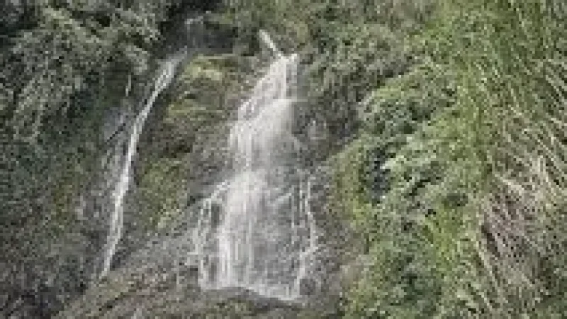 06 Waterfall Trails – Scenic nature walks(6)