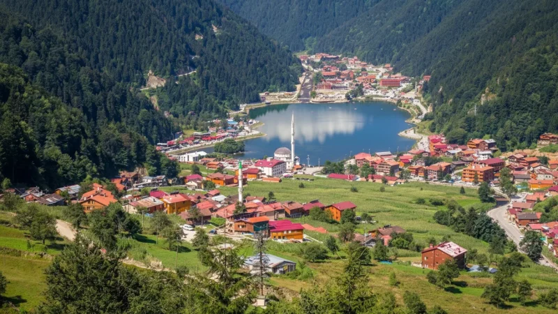 06. Ardesen Castle(1)